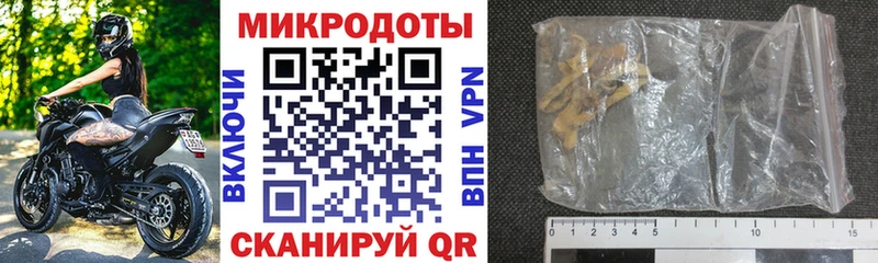 Псилоцибиновые грибы Cubensis Агрыз